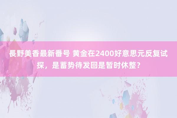 長野美香最新番号 黄金在2400好意思元反复试探，是蓄势待发回是暂时休整？