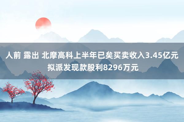 人前 露出 北摩高科上半年已矣买卖收入3.45亿元 拟派发现款股利8296万元