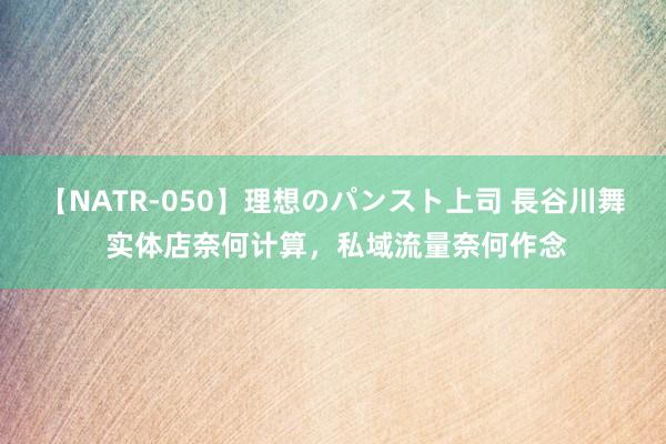 【NATR-050】理想のパンスト上司 長谷川舞 实体店奈何计算，私域流量奈何作念