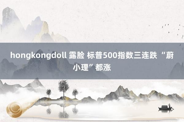 hongkongdoll 露脸 标普500指数三连跌 “蔚小理”都涨