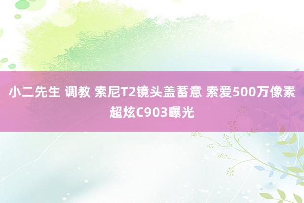 小二先生 调教 索尼T2镜头盖蓄意 索爱500万像素超炫C903曝光