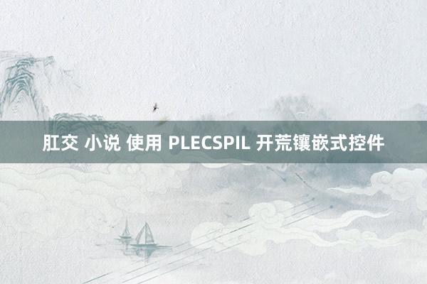 肛交 小说 使用 PLECSPIL 开荒镶嵌式控件