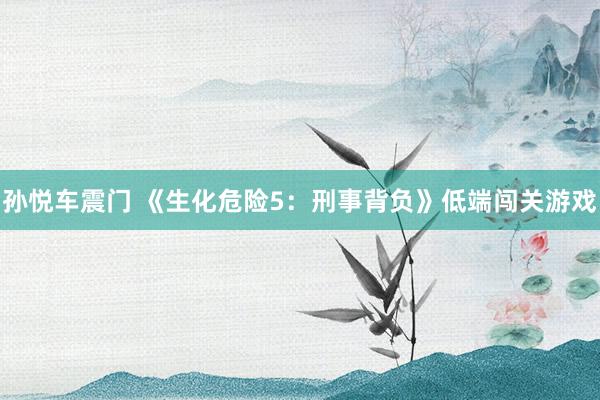 孙悦车震门 《生化危险5：刑事背负》低端闯关游戏