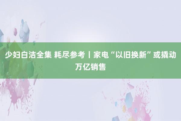 少妇白洁全集 耗尽参考丨家电“以旧换新”或撬动万亿销售