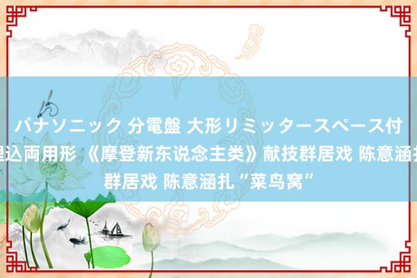 パナソニック 分電盤 大形リミッタースペース付 露出・半埋込両用形 《摩登新东说念主类》献技群居戏 陈意涵扎“菜鸟窝”