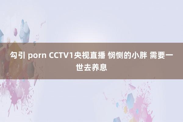 勾引 porn CCTV1央视直播 悯恻的小胖 需要一世去养息