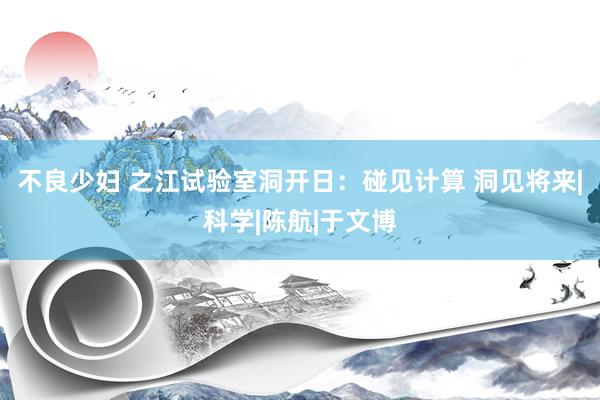 不良少妇 之江试验室洞开日：碰见计算 洞见将来|科学|陈航|于文博